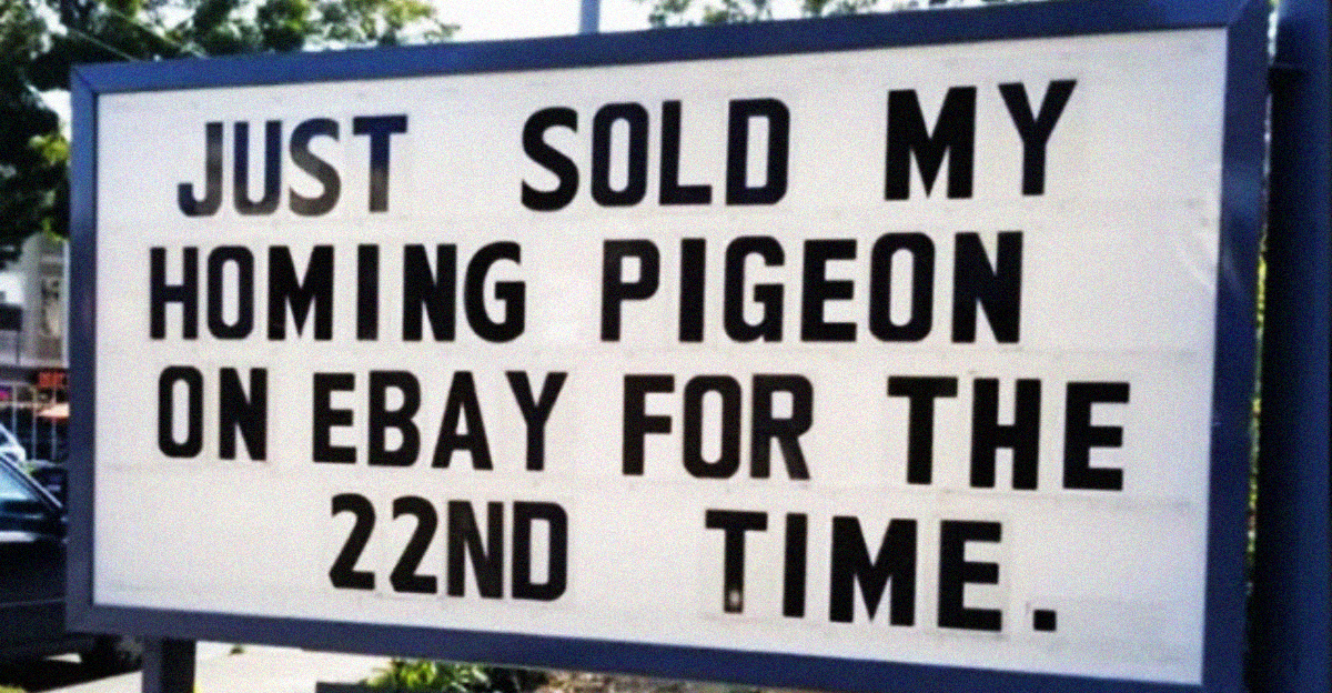 20 Funny Signs