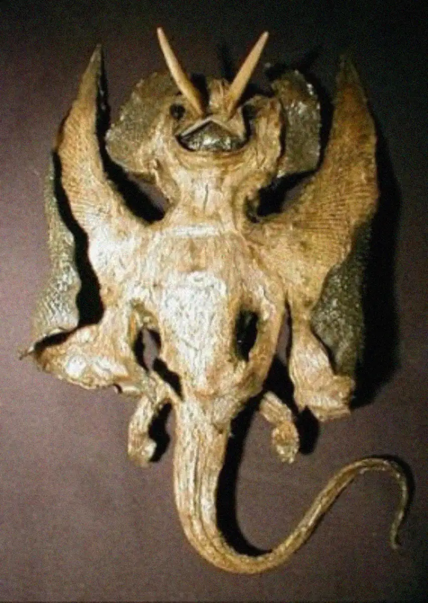 A taxidermy creation resembling a mythical creature, with bat-like wings, horns, and a long tail, made from various animal parts and displayed against a dark background.