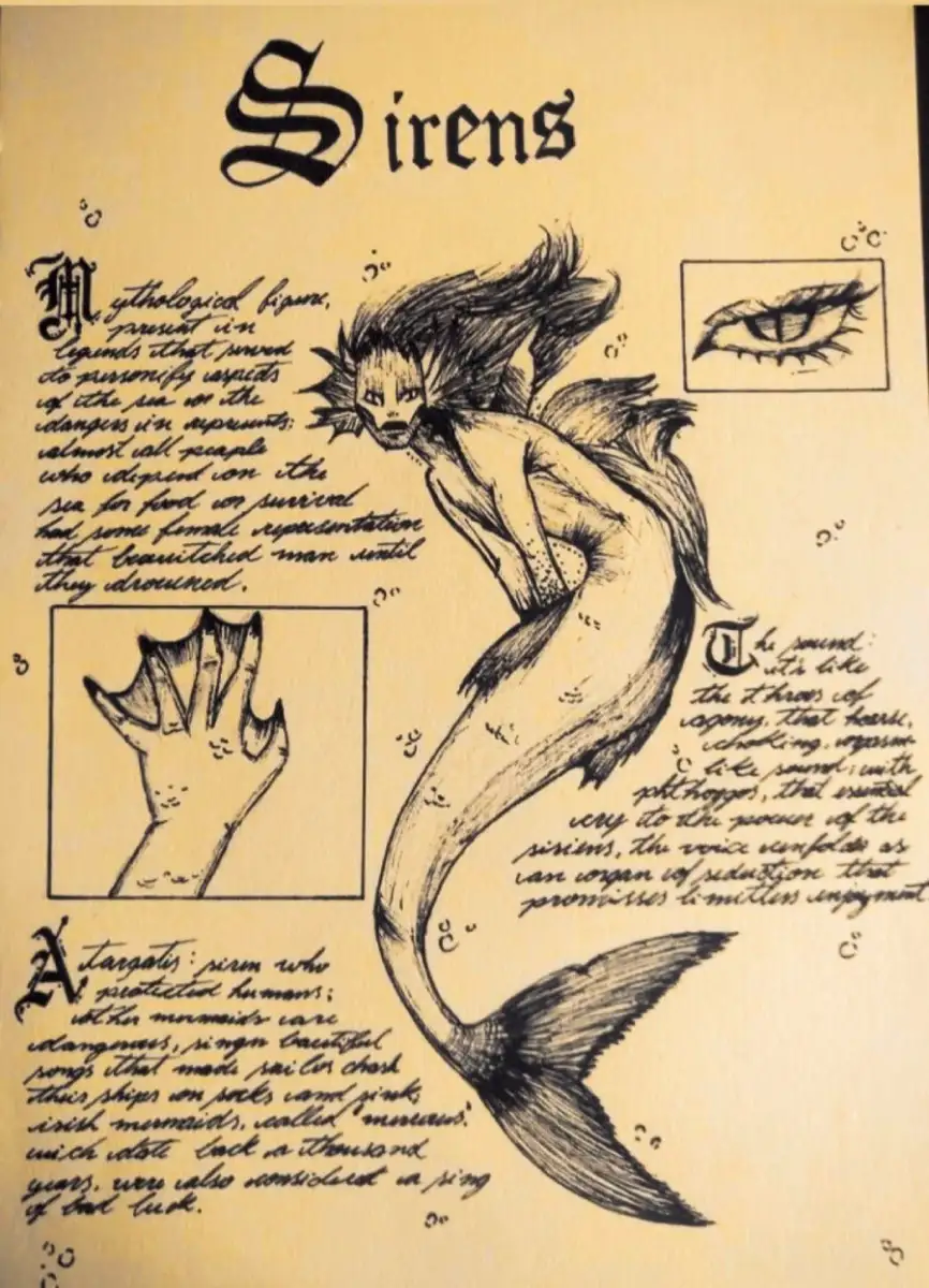 A hand-drawn illustration of a siren or mermaid with long hair and a fish tail. Stylized gothic text and sketches of a hand and eye surround the figure, with handwritten notes in a decorative script.