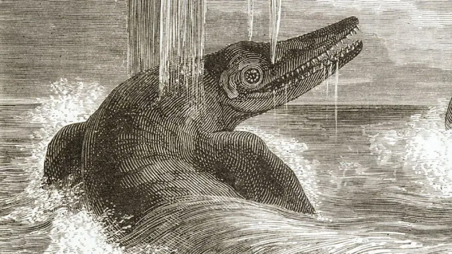 Black and white illustration of a large, prehistoric marine reptile with sharp teeth rising from the ocean, spouting water from its head as waves splash around it.