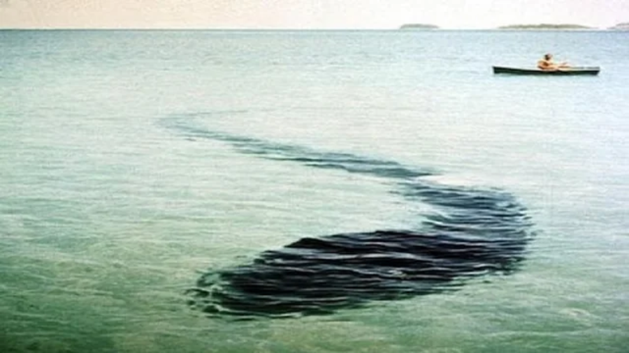 A person in a small boat floats on calm, shallow water, while a large, dark, and curved shadow resembling a giant sea creature appears beneath the surface nearby.