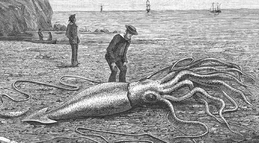 A black-and-white illustration shows two men on a rocky shore examining a giant squid washed up on the beach, with ships visible in the background.