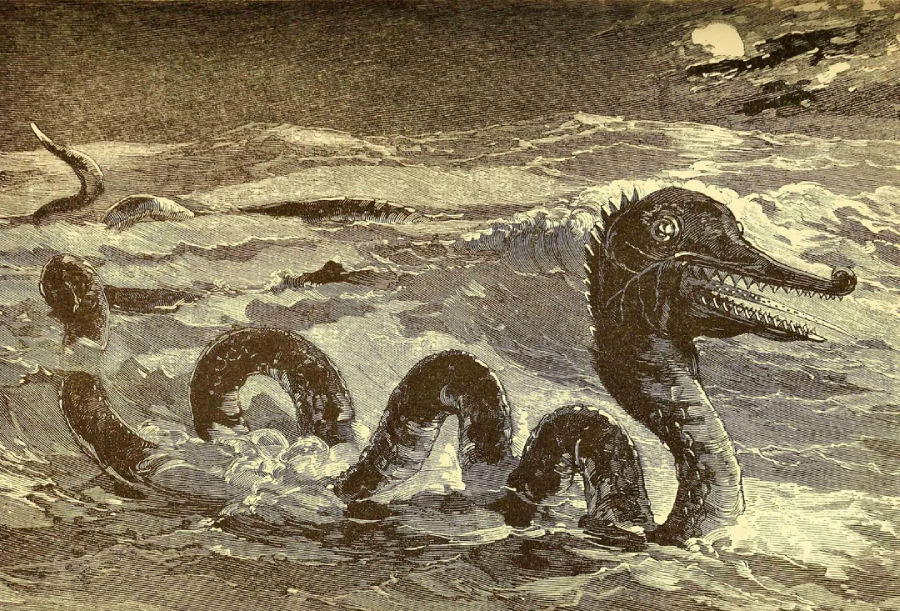 An old illustration of a long, serpent-like sea monster with sharp teeth and several humps, swimming through rough ocean waves under a moonlit sky.