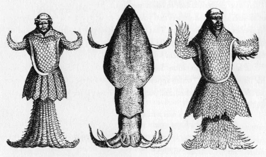 Black-and-white illustration comparing a squid (center) with two humanoid sea creatures covered in scales and fins, each with fish tails and fin-like arms, standing on either side of the squid.