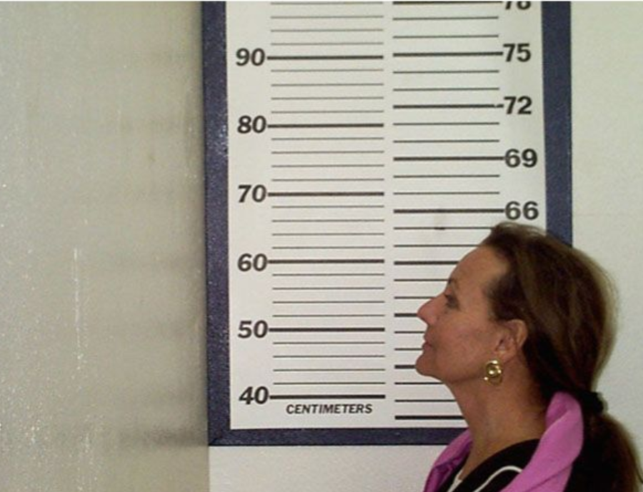 A woman stands in profile next to a height measurement chart marked in centimeters, wearing a pink top and gold hoop earrings, looking straight ahead.