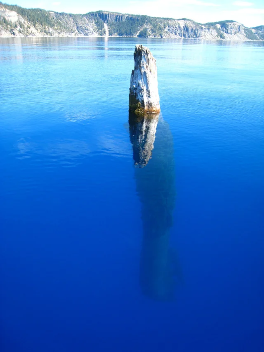 A tall, weathered tree trunk, partially submerged in deep blue water, stands upright with its submerged portion visible below the surface. Forested hills and cliffs are in the background under a clear sky.