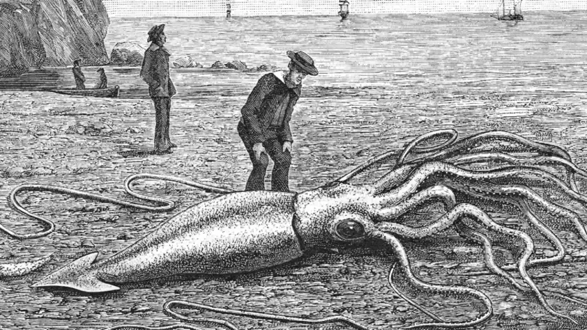 ocean-monsters-sailors-claimed-were-real