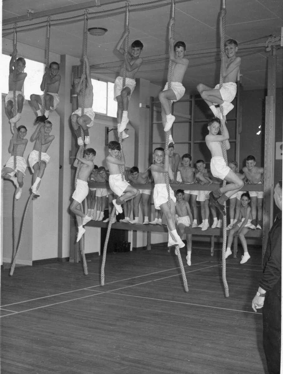 Boys in gym clothes climb ropes in a gymnasium, while others sit on benches in the background, watching. The scene is energetic and lively, with everyone dressed in shorts and T-shirts.