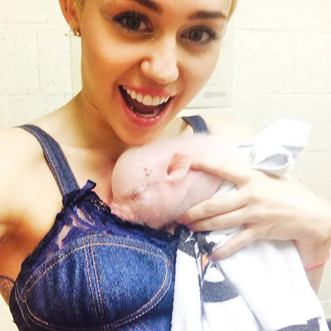 A smiling person in a denim top holds a small, light pink piglet wrapped in a white cloth close to their chest, taking a selfie indoors.