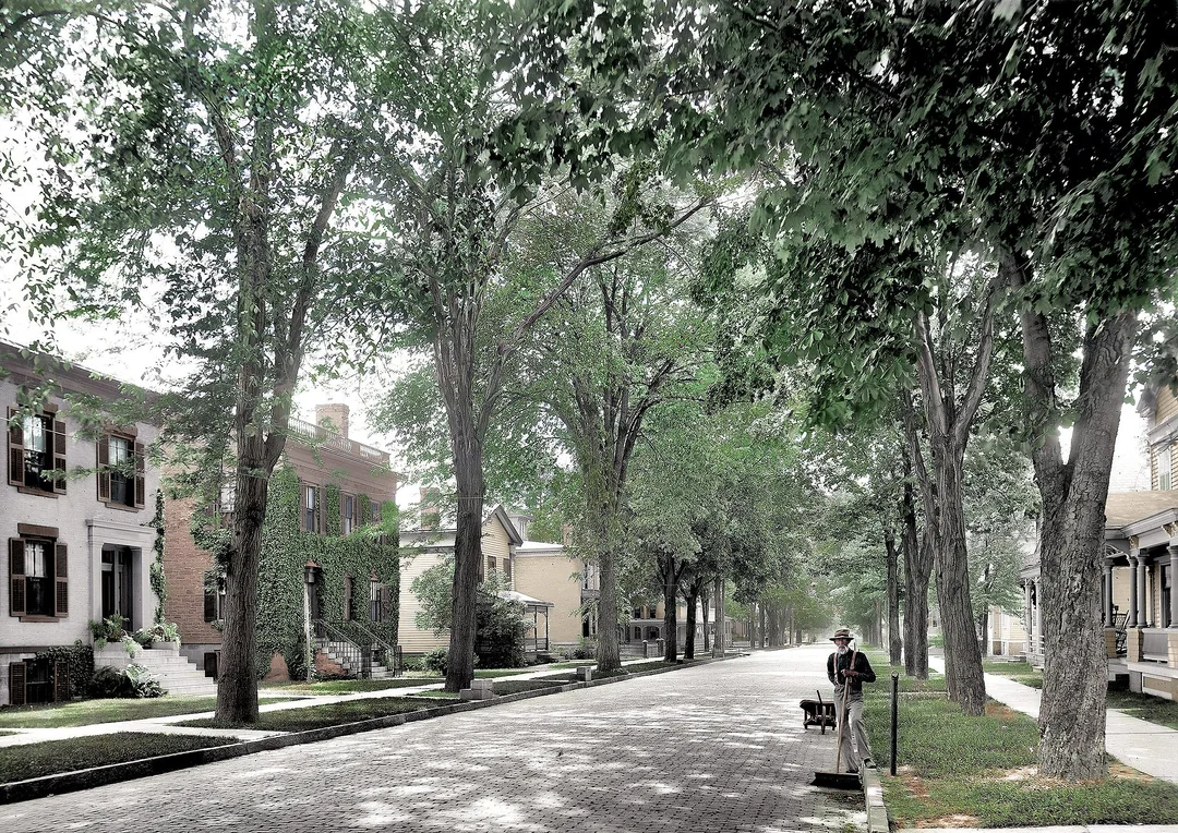 A tree-lined residential street with brick houses and wide sidewalks; a person with a pushcart stands on the right, under leafy branches, on a quiet, sunlit day.
