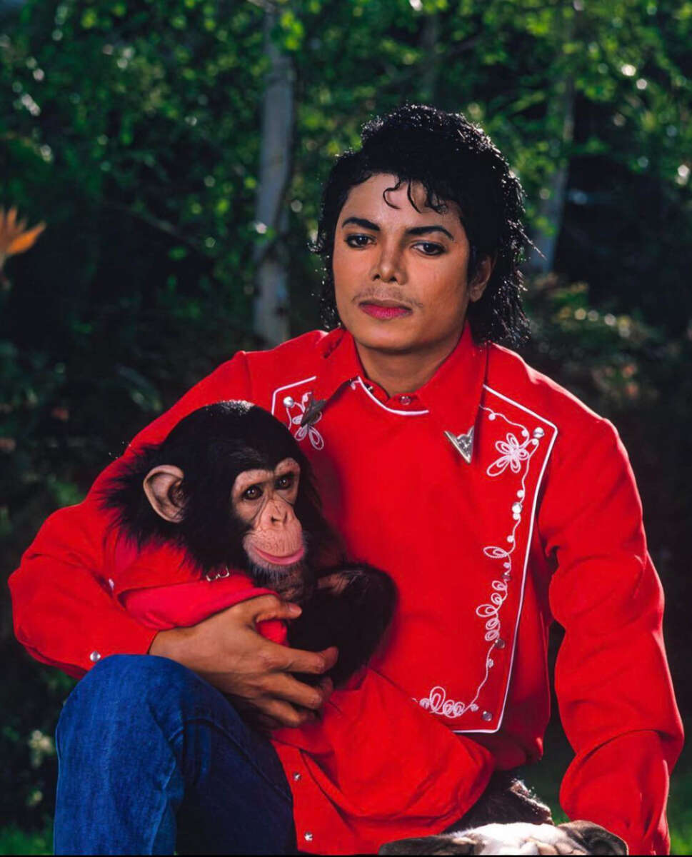 A person with curly black hair, wearing a bright red shirt with decorative white embroidery, sits outdoors holding a young chimpanzee also dressed in red. Green foliage is visible in the background.