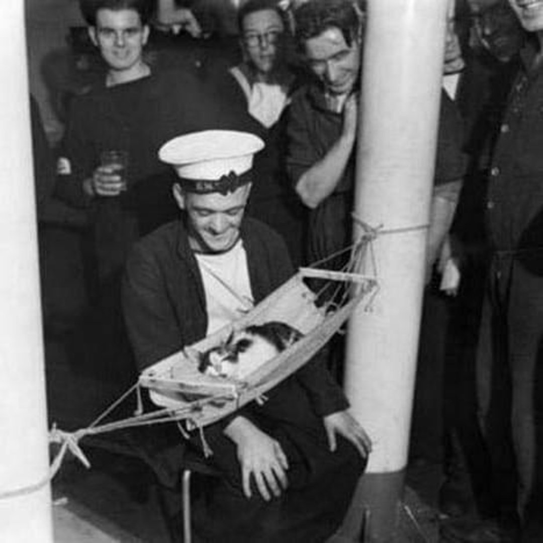 A sailor in uniform smiles while a cat lounges in a small hammock. Several people stand around them, watching and smiling, in what looks like a lively gathering below deck.