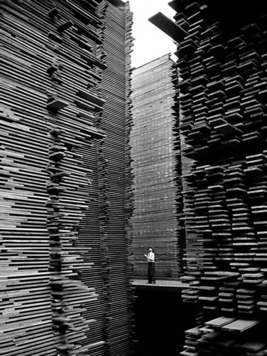 A person stands between massive, towering stacks of neatly arranged wooden planks, creating tall, narrow corridors of lumber in a timber yard. The scale dwarfs the individual, highlighting the enormity of the stacks.