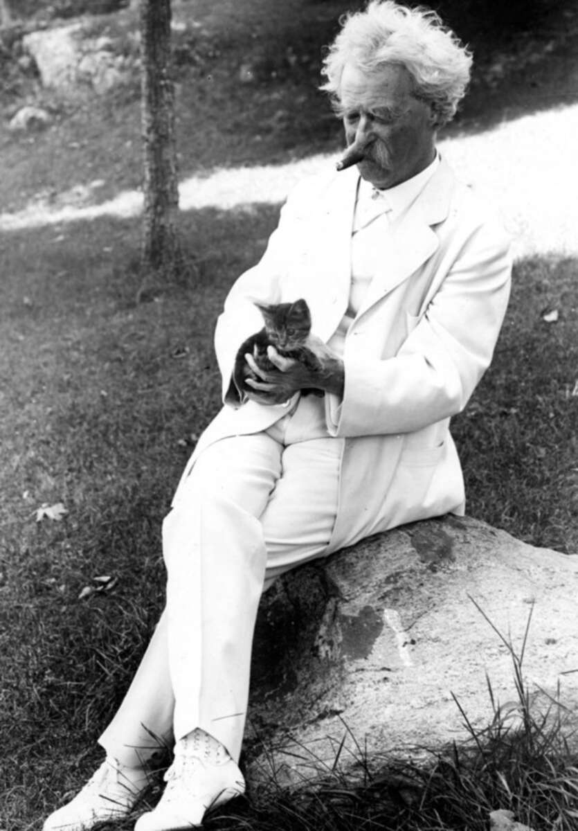 An older man in a white suit sits on a rock outdoors, gently holding and looking at a small cat in his lap. Grass and trees can be seen in the background.