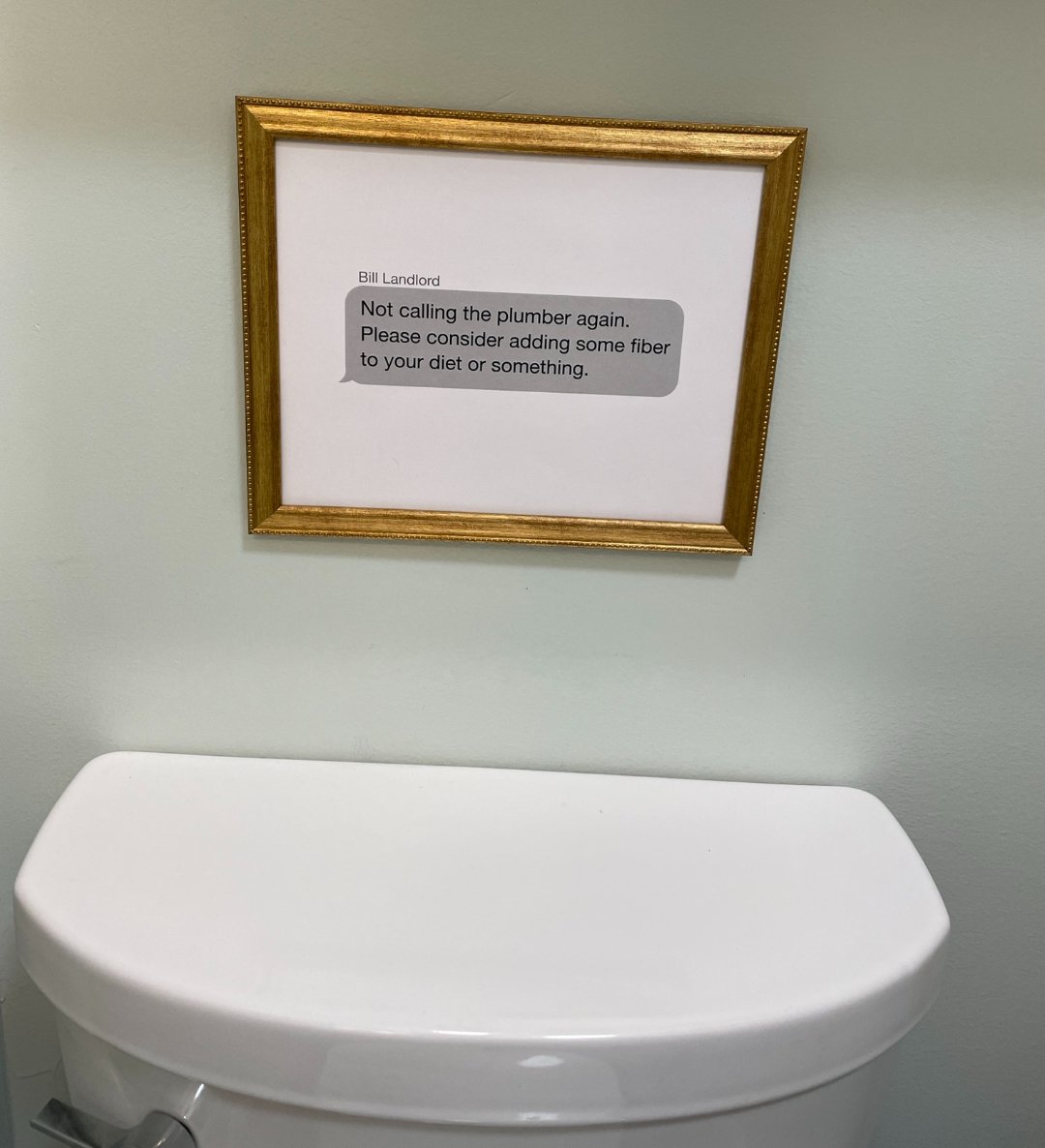 A framed print above a toilet shows a text message that reads: "Not calling the plumber again. Please consider adding some fiber to your diet or something.