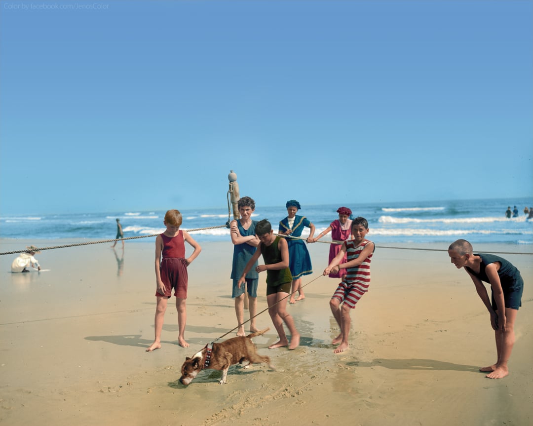 Seven children in vintage swimsuits stand on a beach near the shoreline, watching a dog drink from a puddle in the sand. Waves and a clear blue sky are in the background.