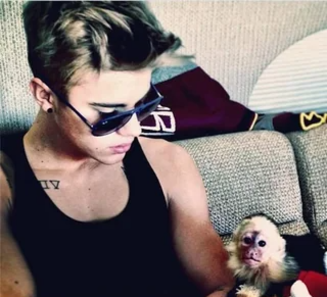 A young man with sunglasses and a black tank top sits on a couch, looking down at a small monkey beside him.