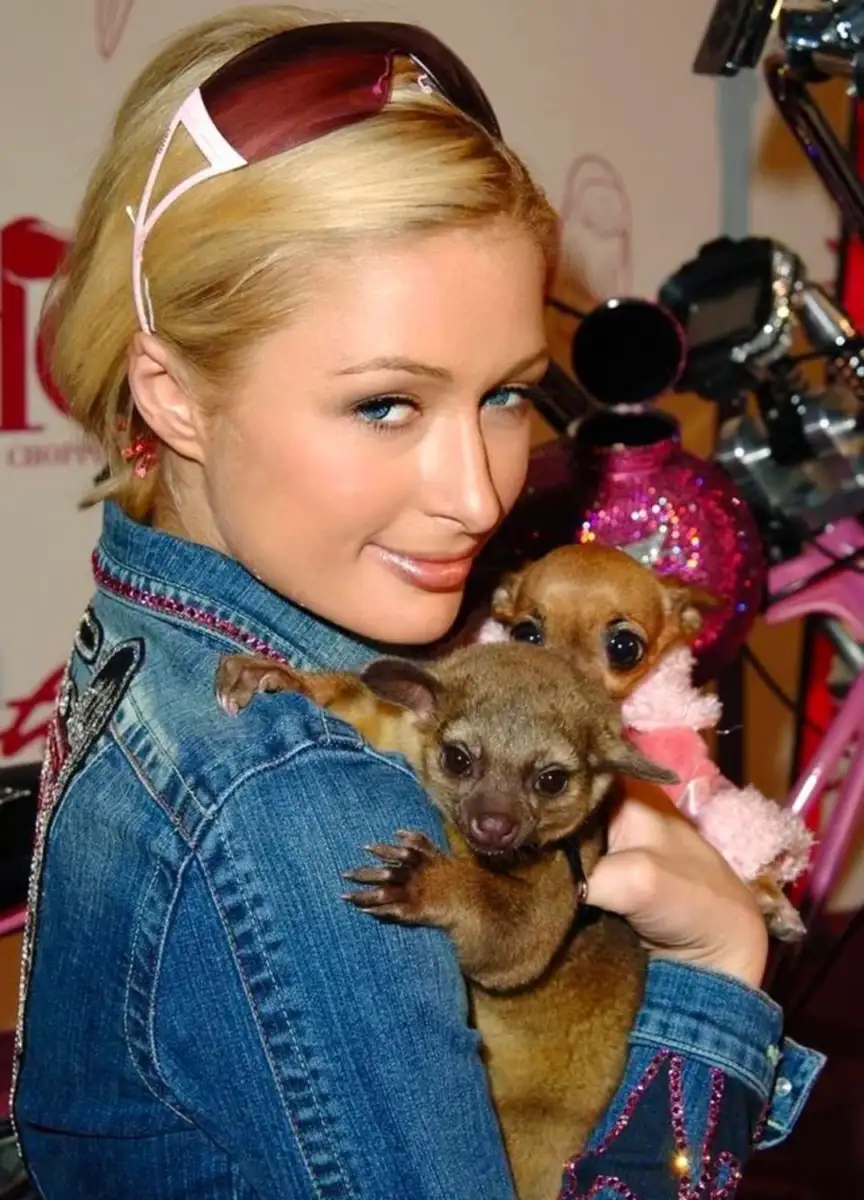 A woman with blonde hair in a denim jacket holds a small brown animal and a tiny dog dressed in pink, smiling at the camera. There are pink and sparkly objects in the background.