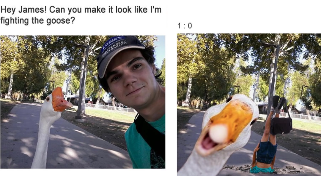 A man takes a selfie with a goose. In the second image, the man is edited to appear upside down and the goose looks victorious, as if it has defeated him, accompanied by the caption "1 : 0.