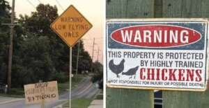 The image shows two humorous warning signs: one on the left reads "Warning Low Flying Owls" above a "Lost Chihuahua" sign; the one on the right warns, "This property is protected by highly trained chickens.