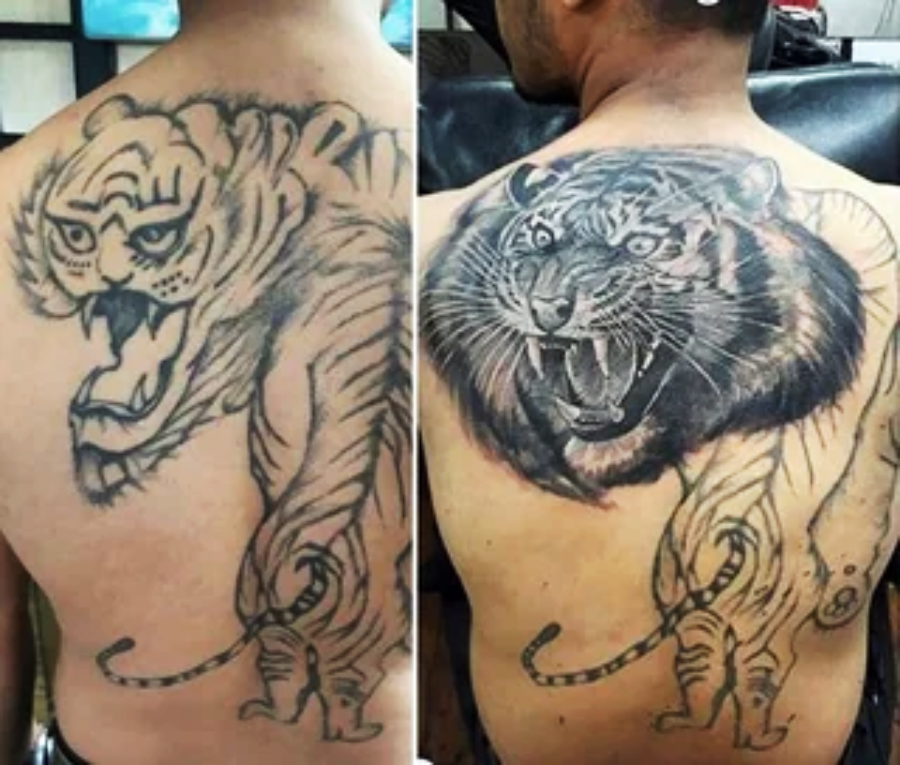 Side-by-side comparison of a man's back showing a tiger tattoo before and after. The original tattoo is a rough outline, while the updated version is more detailed and realistic, especially in the tiger’s face.