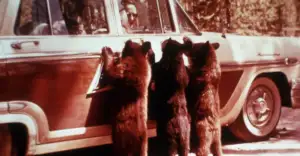 untold-stories-national-parks