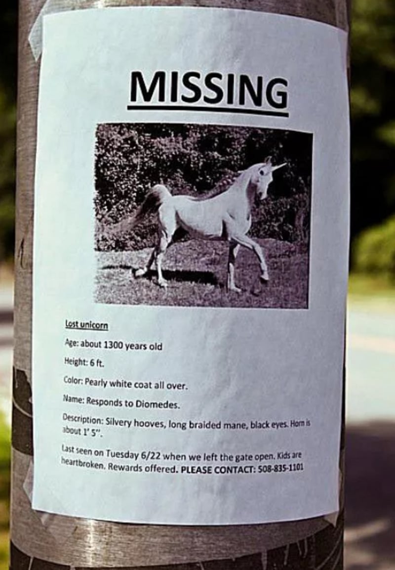 A flyer on a pole shows a black-and-white photo of a unicorn and reads “MISSING.” The flyer lists details about the unicorn’s age, color, name, description, and contact information for its return.