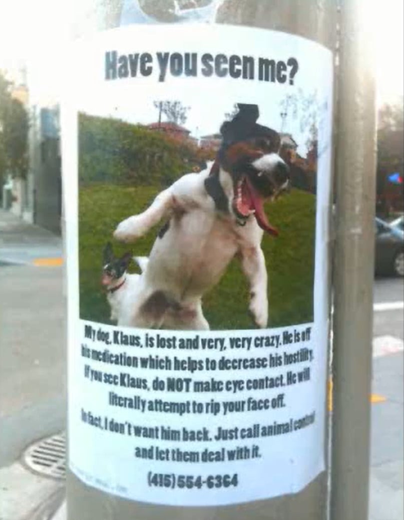 A lost dog poster on a pole features a photo of a dog baring its teeth. The text humorously warns that the dog, Klaus, is hostile and advises not to make eye contact. A contact phone number is provided at the bottom.