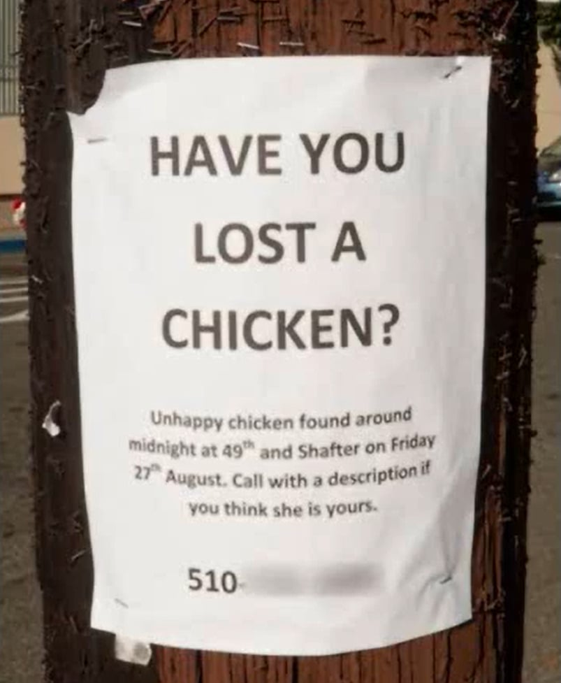 A flyer on a wooden pole reads: “HAVE YOU LOST A CHICKEN? Unhappy chicken found around midnight at 49th and Shafter on Friday 27th August. Call with a description if you think she is yours.” A phone number is partially visible.