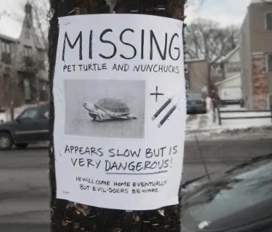 A missing pet poster on a tree showing a turtle and nunchucks, with text saying, "MISSING: Pet turtle and nunchucks. Appears slow but is VERY DANGEROUS! He will come home eventually but evildoers beware.