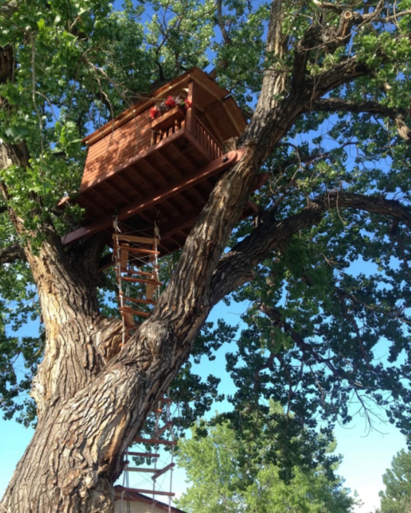 A wooden treehouse with a small balcony is built high among large, leafy branches. A rope ladder hangs down the trunk of the sturdy tree. The sky is clear and blue in the background.