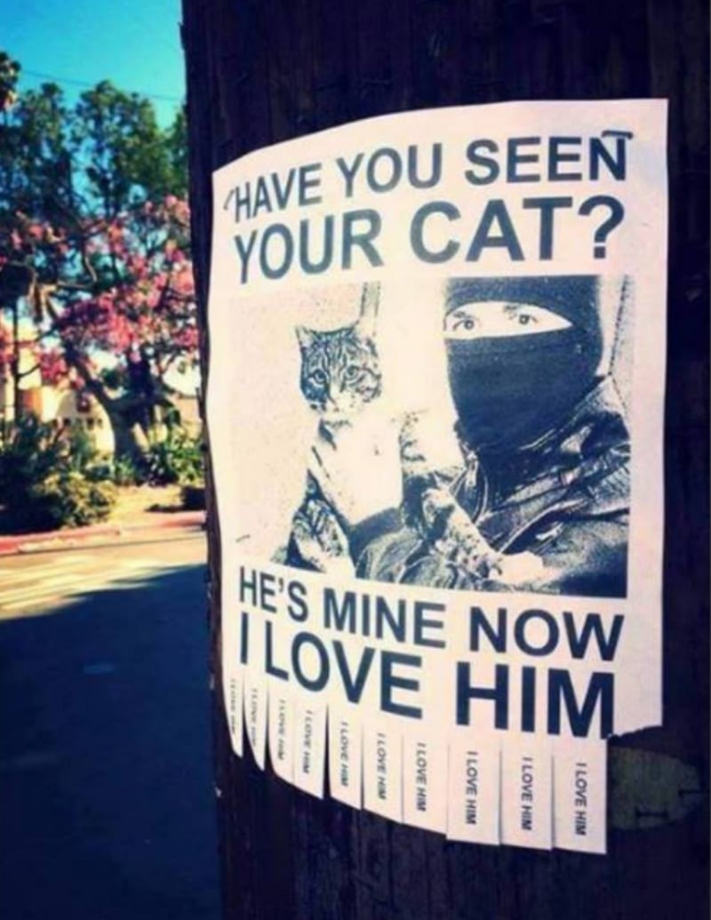 A flyer on a pole shows a masked person holding a cat with the text: "Have you seen your cat? He's mine now. I love him." Tear-off tabs at the bottom say, "I love him.