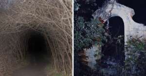 Left: A dark, tunnel-like path covered by leafless, intertwining branches. Right: An old, partially broken stone archway surrounded by overgrown plants, both scenes lit by eerie nighttime lighting.