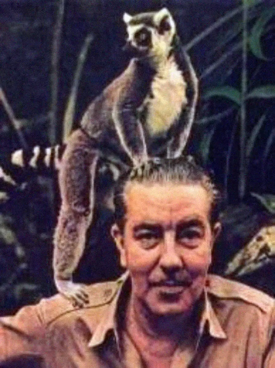 A man with a mustache and in a tan shirt sits with a lemur perched on top of his head; the background has green foliage.