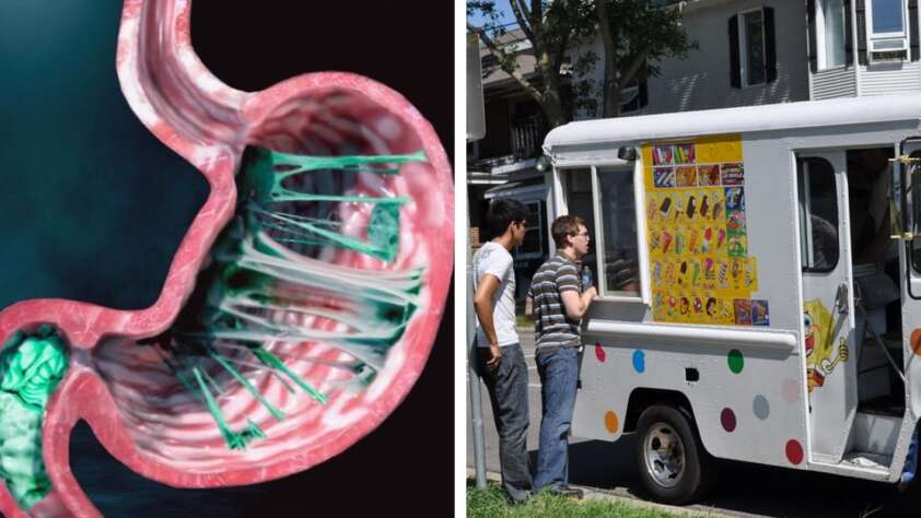 A split image: on the left, a digital illustration of a stomach filled with green strings of chewing gum; on the right, three people stand beside an ice cream truck with colorful treat pictures on the side.
