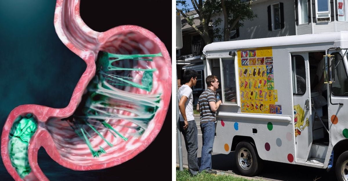 A split image: on the left, a digital illustration of a stomach filled with green strings of chewing gum; on the right, three people stand beside an ice cream truck with colorful treat pictures on the side.