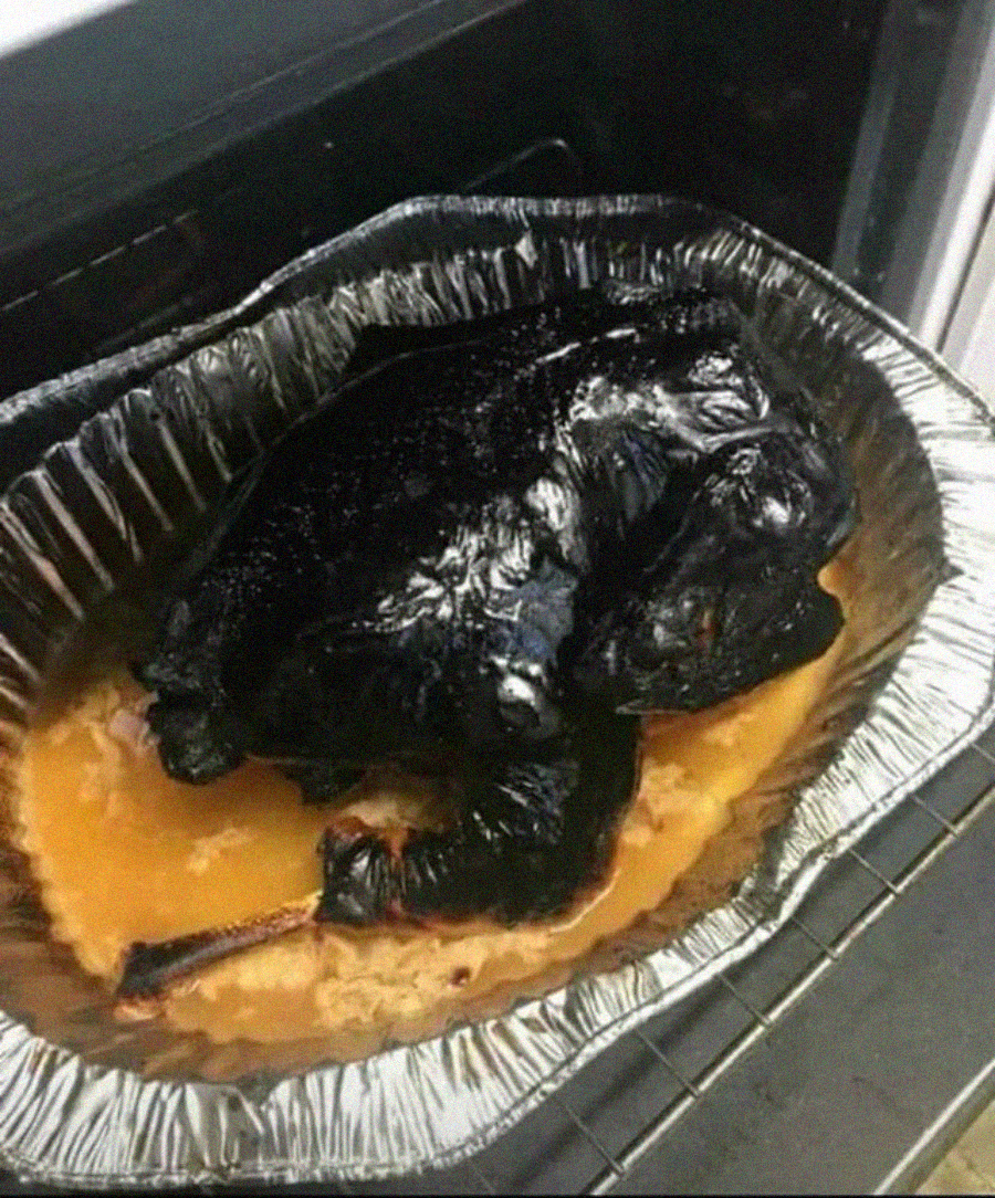 A completely burnt black turkey sits in a disposable roasting pan filled with juices inside an oven.