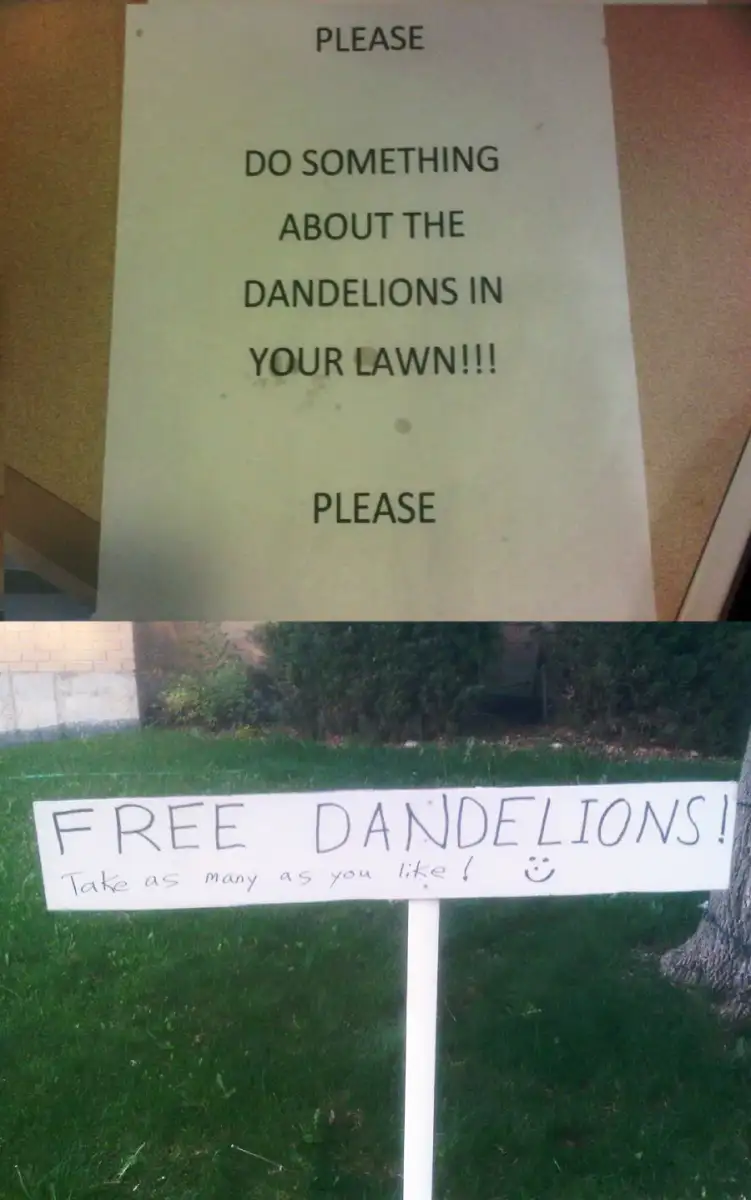 Top: A printed sign reads, "PLEASE DO SOMETHING ABOUT THE DANDELIONS IN YOUR LAWN!!! PLEASE." Bottom: A handwritten sign in grass says, "FREE DANDELIONS! Take as many as you like! :)