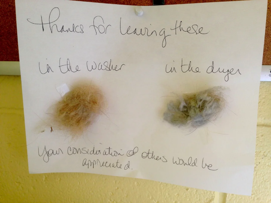 A handwritten note on white paper is pinned to a corkboard, displaying two clumps of lint labeled “in the washer” and “in the dryer.” The note thanks others for leaving them and requests consideration for others.
