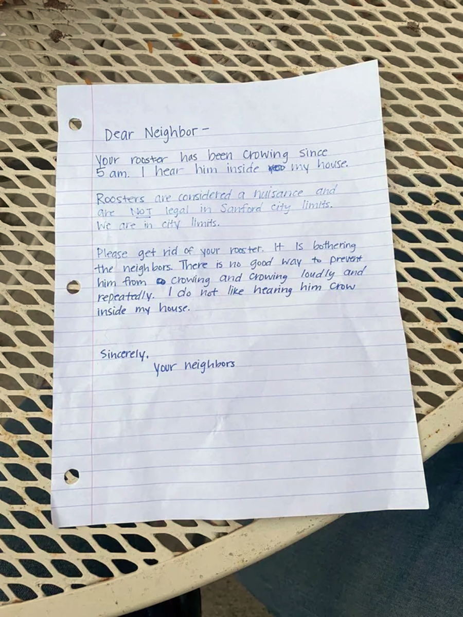 A handwritten letter on lined paper sits on a metal outdoor table. The letter complains about a neighbor's noisy rooster, calling it a nuisance, and asks the neighbor to get rid of the rooster because of loud crowing.