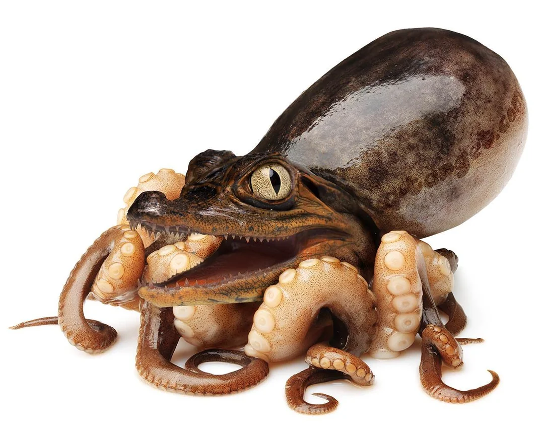 A digitally created animal with an octopus body and tentacles combined with the head of a crocodile, against a white background.