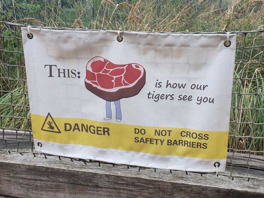 A warning sign on a fence shows a cartoon steak with human legs and reads, "This is how our tigers see you. DANGER. DO NOT CROSS SAFETY BARRIERS." Grass and fencing are visible in the background.