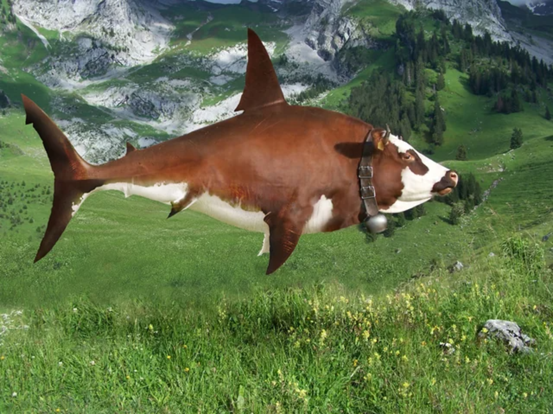 A digitally created animal with the body of a shark and the head of a cow, including a cowbell, floats above a grassy mountain meadow.
