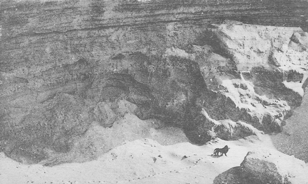 A black-and-white photo of a large, snowy crater with steep, rocky walls; a solitary animal, possibly a dog or wolf, stands near the bottom in the snow.