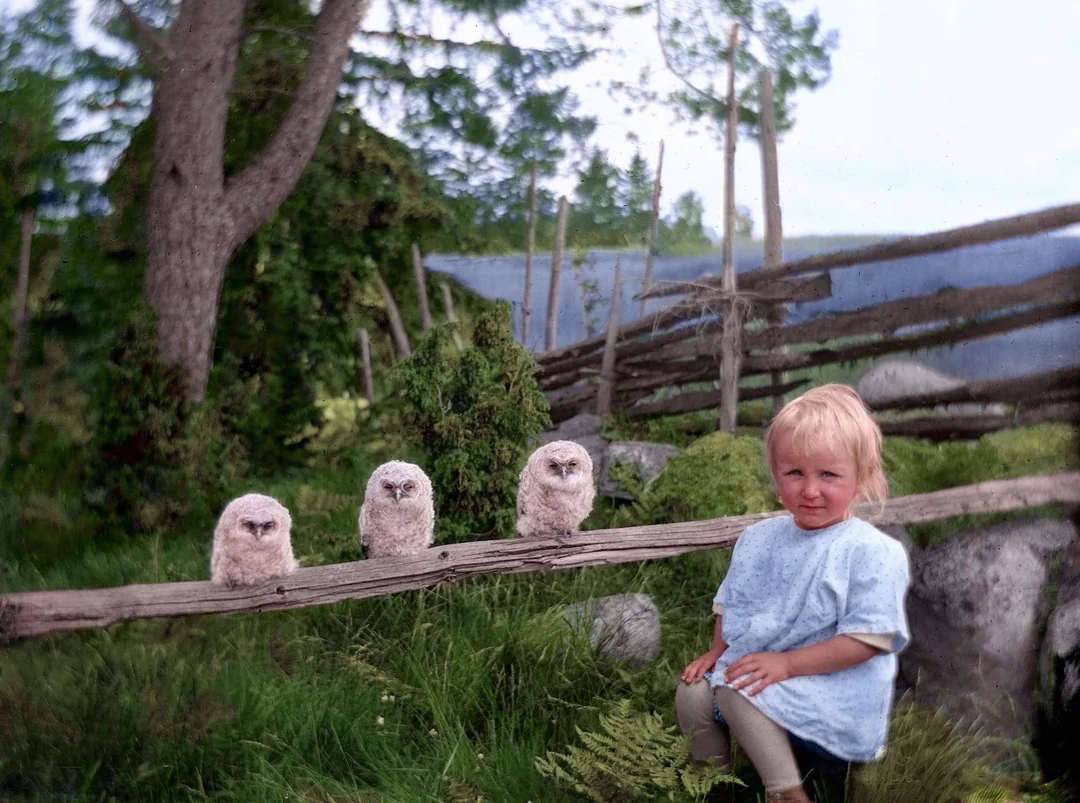 A young child sits on a wooden fence outdoors, next to three fluffy baby owls perched on the same fence, surrounded by green grass, trees, and rustic wooden fencing.
