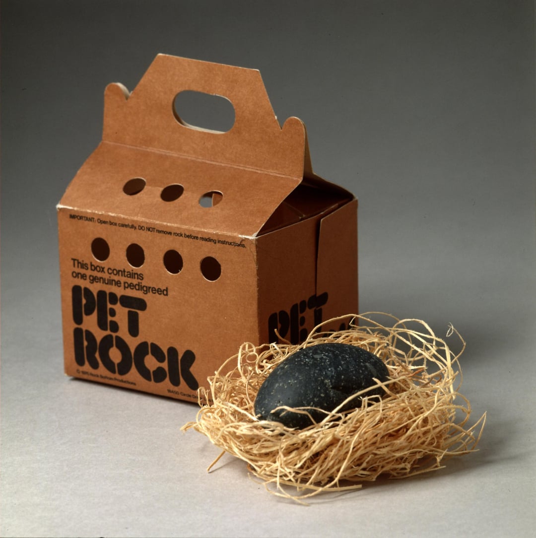A cardboard box labeled "Pet Rock" sits next to a black rock resting in a nest of straw. The box has air holes and a handle, resembling a pet carrier.