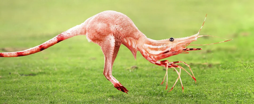 A digitally created creature with the body and legs of a kangaroo and the head and claws of a shrimp, standing on grass with a blurred green background.