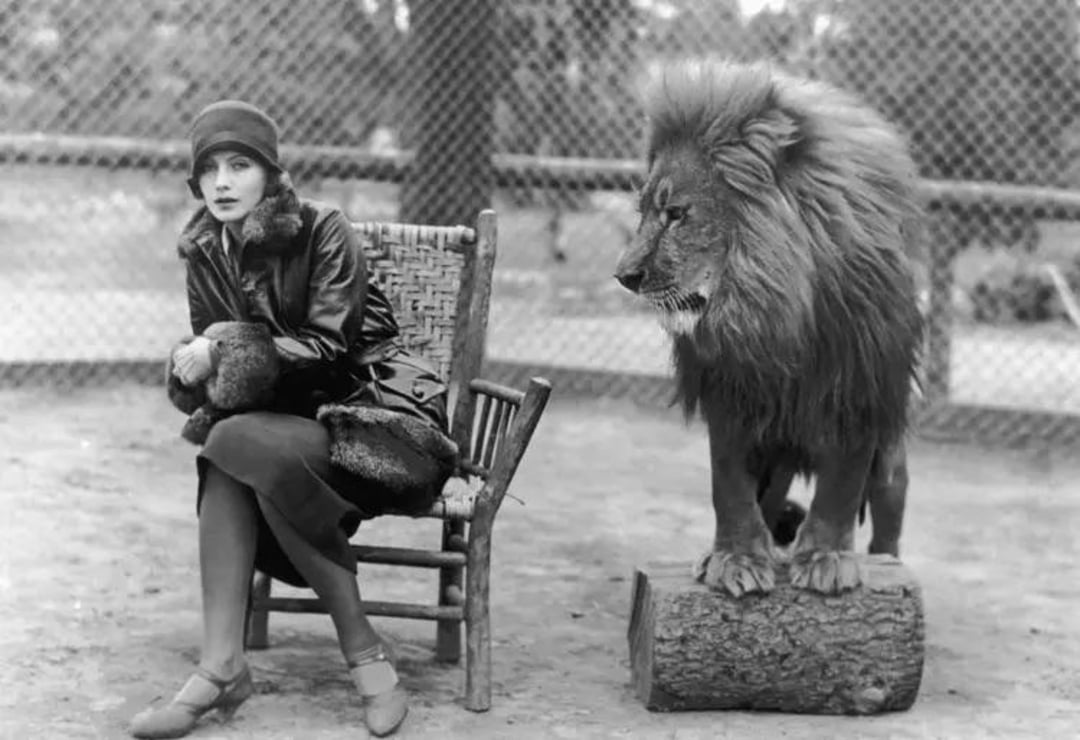 A woman in 1920s attire sits on a wooden chair holding a small dog, while a lion stands on a log beside her inside a fenced enclosure.