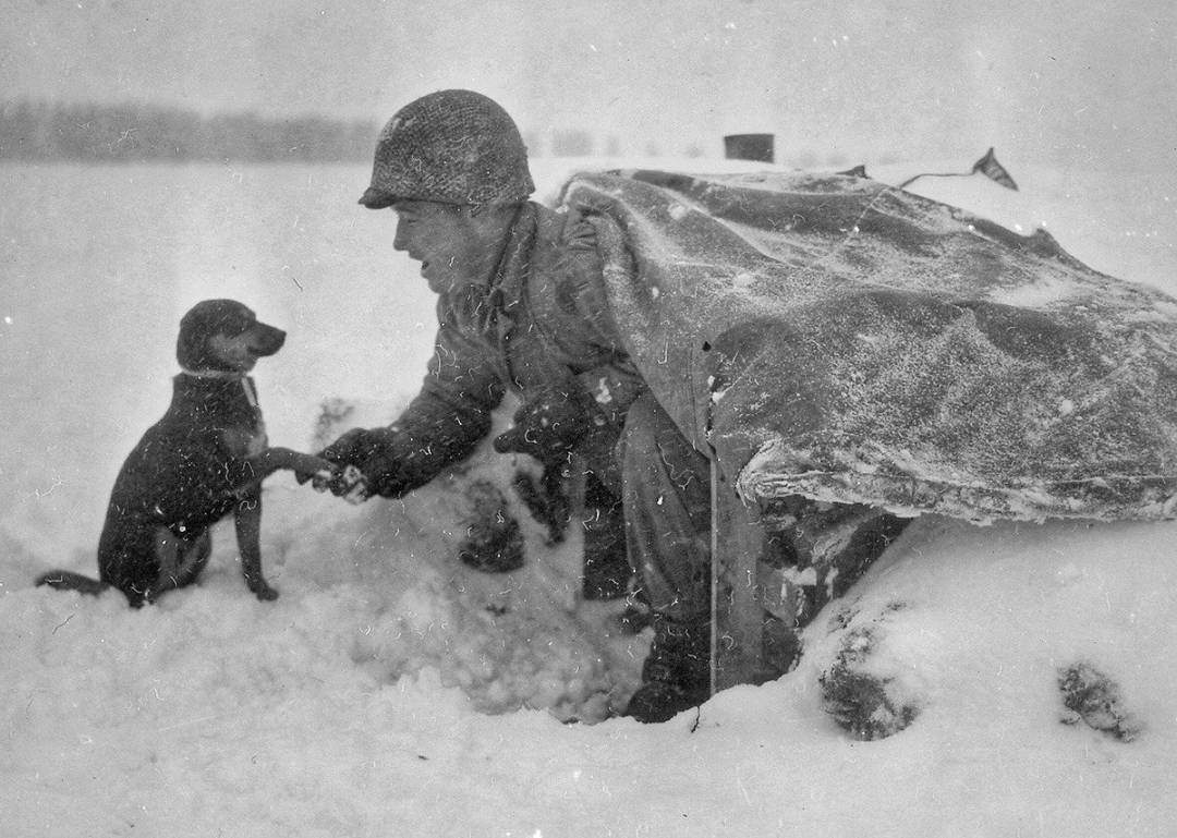 A soldier in winter gear shakes hands with a small dog outside a makeshift snow-covered shelter in a snowy landscape.