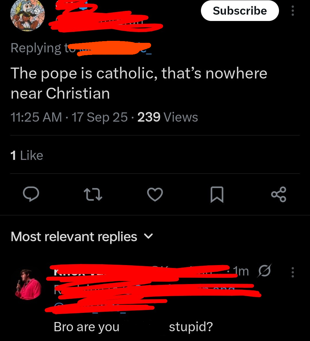 A Twitter post says, "The pope is catholic, that's nowhere near Christian." A reply below asks, "Bro are you stupid?" Parts of usernames and icons are redacted.